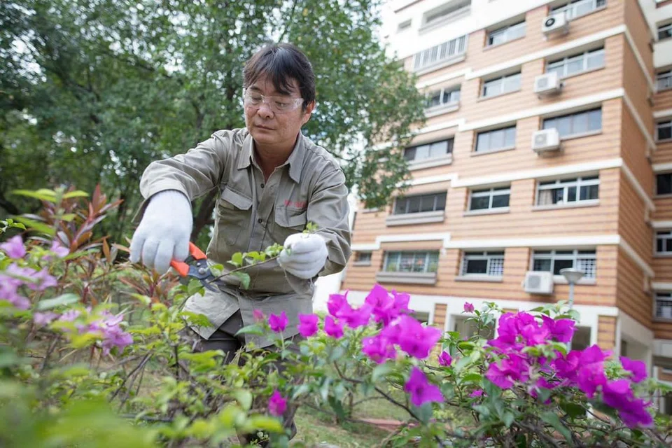 Surat makluman memberi penyedia dan pembeli khidmat saranan praktikal bagi melindungi kepentingan dan mata pencarian pekerja penyumberan luar, kata Encik Zaqy Mohamad.