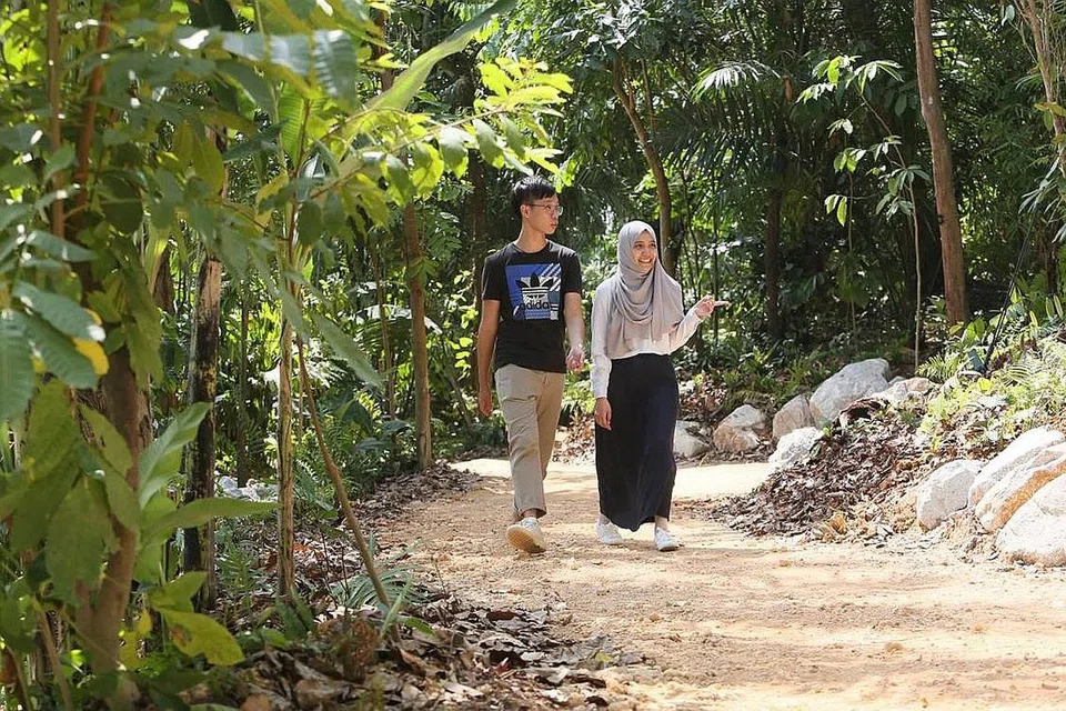 KE PUNCAK BARU: Orang ramai boleh mendaki laluan Rabung Rambler Yayasan Mingxin untuk ke puncak baru di Kebun Bunga Singapura, setinggi 40 meter di atas paras laut. - Foto NPARKS