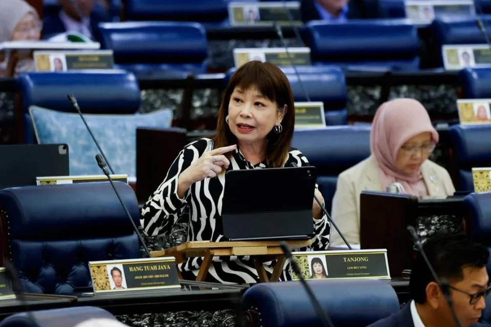 Timbalan Menteri Kewangan Malaysia, Cik Lim Hui Ying, berkata kerajaan Malaysia akan menjalankan kajian lebih terperinci untuk memahami lebih lanjut isu perbezaan bayaran itu dan langkah susulan yang boleh diambil.