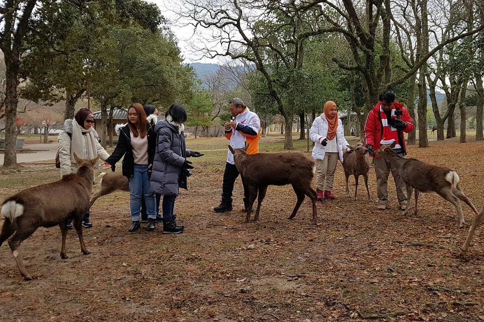 'BERMESRA' DENGAN RUSA: Ratusan rusa peliharaan berkeliaran secara bebas. Bersama rusa-rusa ini menjadikan pengalaman lebih menarik kerana pengunjung di Nara Deer Park yang terletak di kawasan Nara, iaitu antara Osaka dengan Kyoto ini berpeluang mendekati dan memberi haiwan-haiwan ini makan dari tangan pengunjung sendiri. Satu pengalaman yang cukup menyeronokkan. - Foto ihsan MUSTAFFA YAAKUB. 