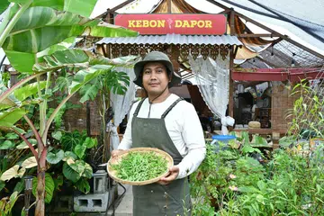kebon dapor