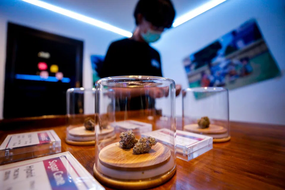 Ganja kelihatan dijual di sebuah kafe di Bangkok pada 12 September 2022. - 