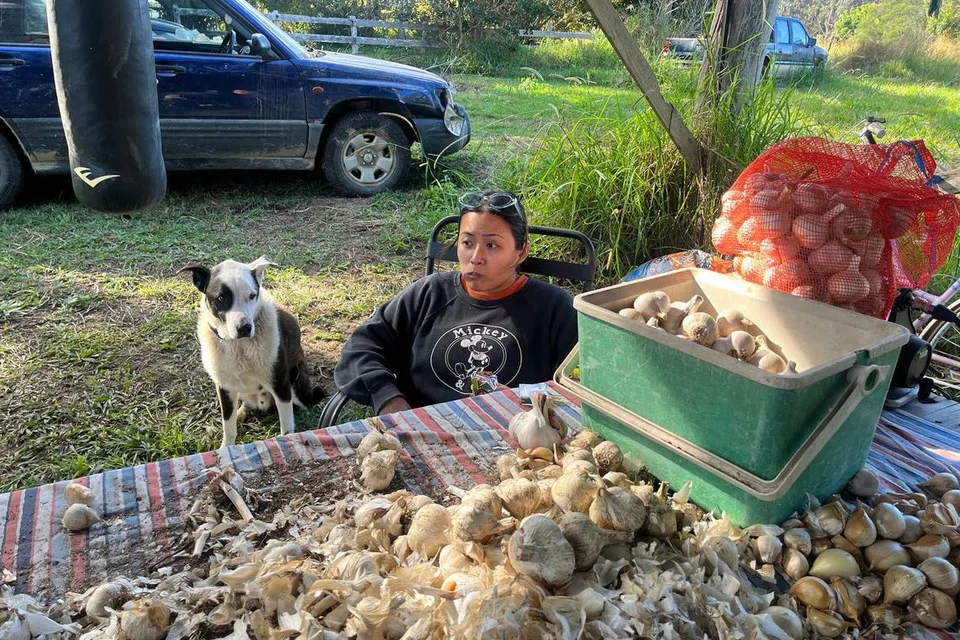 Cik Shaik Syasya mengopek bawang putih di Australia.