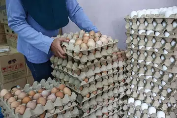 Tuduhan membunuh dikurangkan kepada homisid