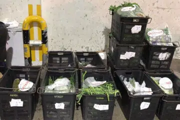 Sebanyak 771.5 kilogram produk makanan yang diimport secara haram dikesan dan dirampas.