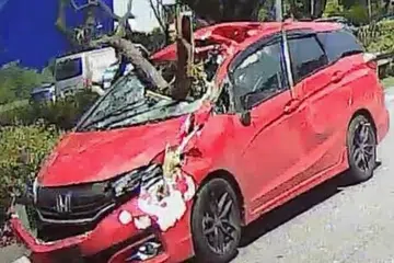 Gambar kereta MPV merah ini tular di media sosial setelah dahan besar menghempapnya pada 29 November di ECP dan mengakibatkan kerosakkan teruk. 