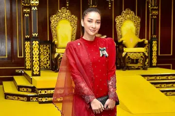 Rita Rudaini, Pingat Jasa Baik, Raja Perlis