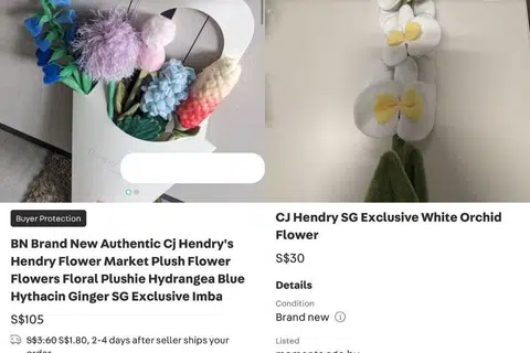 Beberapa orang telah pun menjual bunga tersebut di wadah Carousell pada harga yang lebih mahal.