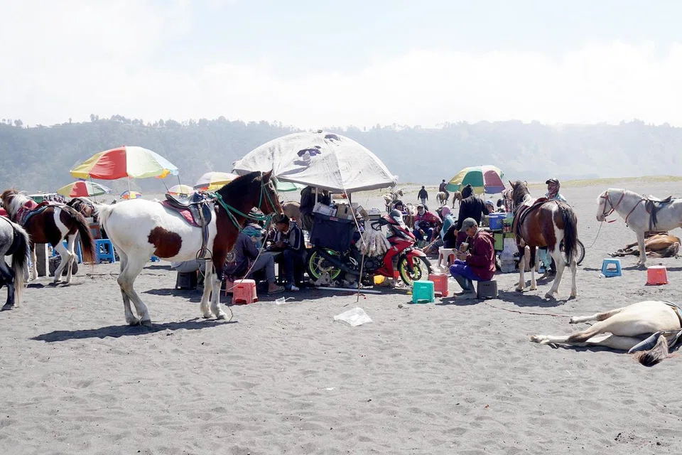 KAWASAN REHAT: Penjaga kuda dan penjual makanan dan minuman menunggu pengunjung di kawasan rehat di Gunung Bromo.