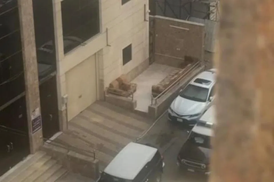 Pihak polis Arab Saudi membuat serbuan di apartmen Shisha jemaah visa pelancong untuk memeriksa sama ada mereka menggunakan permit yang sah untuk menunaikan haji.