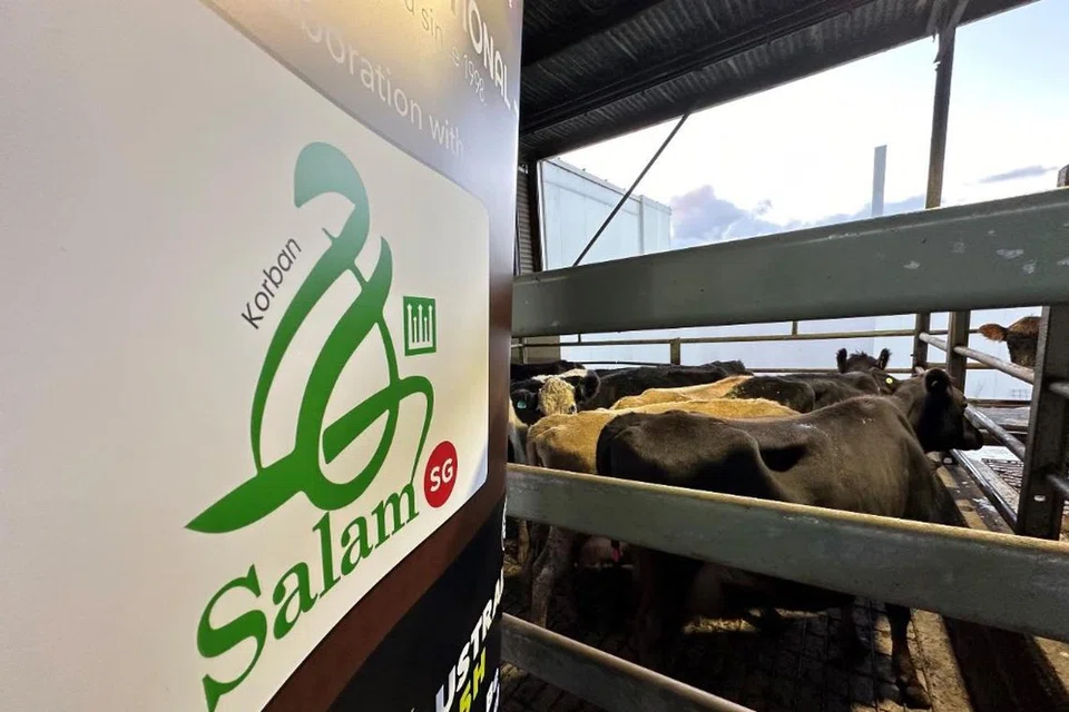 Masyarakat Islam boleh membuat tempahan korban secara dalam talian di laman web, SalamSG Korban. Setakat ini, lebih 50 peratus daripada haiwan korban ditawarkan telah ditempah melalui program kendalian Majlis Ugama Islam Singapura (Muis). 