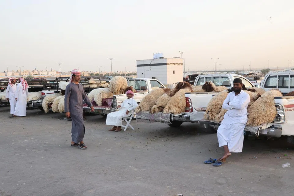 TUNGGU PELANGGAN: Para peniaga sedang menanti pelanggan di sebuah pasar ternakan menjelang Hari Raya Haji di Riyadh.