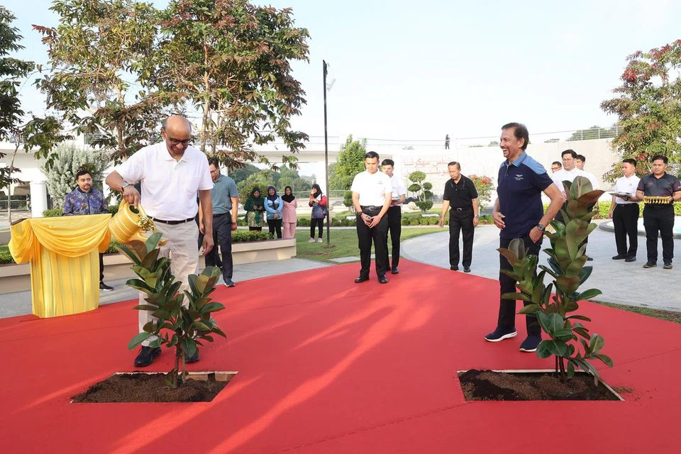 TANAM POKOK: Presiden Tharman Shanmugaratnam (kiri) dan Sultan Brunei, Sultan Hassanal Bolkiah (kanan), menanam sejenis pokok getah, ‘Ficus Burgundy’ di Taman Mahkota, Bandar Seri Begawan, Brunei, pada 26 Januari dalam satu kegiatan mengenali antara satu sama lain secara peribadi.