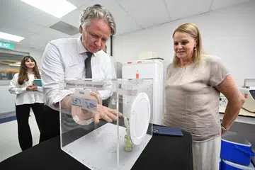 EU, NEA, Projek Wolbachia,  denggi 