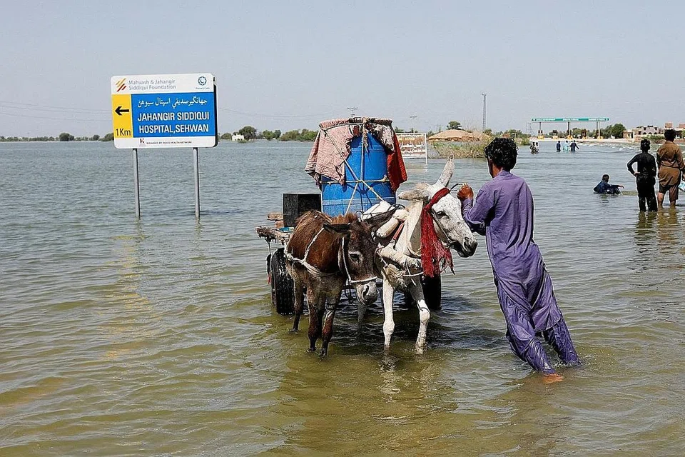 PETAKA BANJIR: Pakistan antara negara paling teruk dilanda banjir tahun ini semasa musim monsun 2022, mengakibatkan 1,700 orang dilaporkan maut, manakala 33 juta lagi kehilangan tempat tinggal. Kelihatan penduduk di Sehwan, Pakistan, bersama ternakan mereka terpaksa mencari tempat lebih selamat. - Foto REUTERS