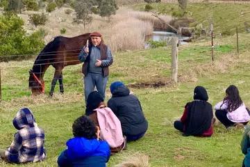ladang ayam Australia, usahawan bekas guru, sekuriti makanan