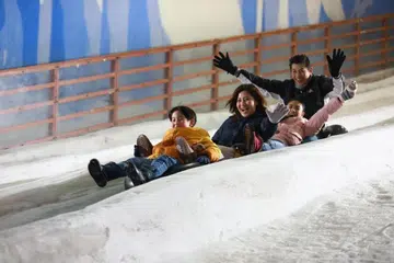 Snow City, ‘bumper car’, promosi khas