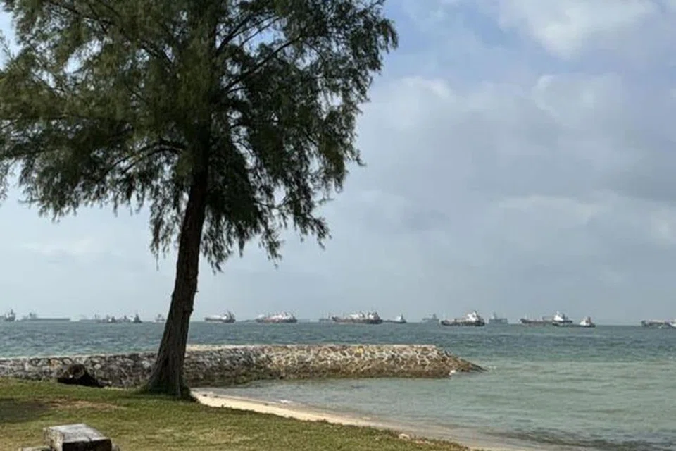 Gambar dari laman Facebook Agensi Sekitaran Kebangsaan pada 22 Julai menunjukkan bahagian pantai East Coast yang sudah dibersihkan, setelah dicemari minyak daripada kemalangan kapal pada 14 Jun.