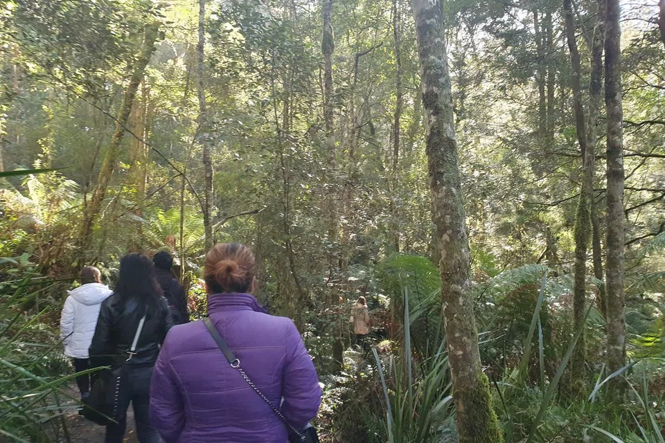 TEROKA HUTAN: Pengunjung di hutan hujan Maits Rest.