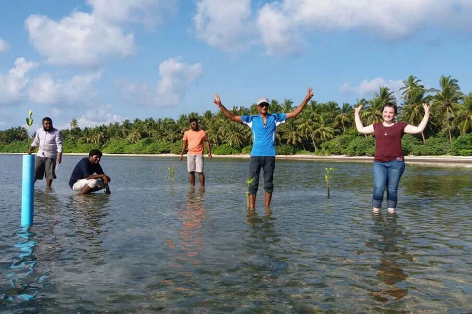 MELANCONG SAMBIL BELAJAR TENTANG SEKITARAN: Beberapa pelancong ini dilibatkan dalam kerja memulihara alam sekitar dan lautan dalam kunjungan ke Maldives. - Foto NIA PONTIUS