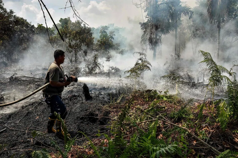 Seorang pegawai keselamatan cuba memadam kebakaran di kawasan tanah gambut di Kampar, Riau, Indonesia, pada 17 Ogos 2026. Riau menjadi antara wilayah utama yang terjejas akibat kebakaran hutan dan tanah di Sumatera, dengan 480 titik panas dikesan. Presiden Indonesia, Encik Prabowo Subianto, melawat wilayah itu pada 24 Ogos bagi meninjau operasi memadam kebakaran sebelum meneruskan lawatan ke Jambi dan Sumatera Selatan.