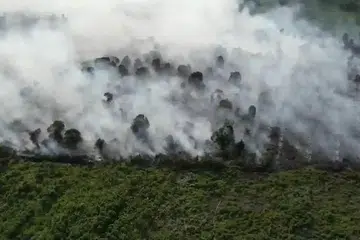 Kebakaran hutan dan tanah di Kabupaten Pelalawan, Riau, terus dikesan berikutan keadaan cuaca kering yang melanda wilayah itu sejak minggu lalu. Pada Selasa, 27 Januari 2026, pihak berkuasa mengesahkan tiga titik kebakaran masih aktif dan sedang dipantau oleh pasukan pemadam.