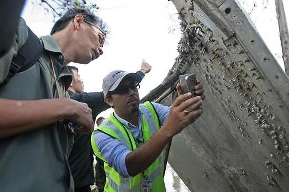 Logam diselaputi teritip yang dijumpai di Thailand hujung minggu lalu ini menimbulkan spekulasi ia mungkin dari pesawat MH370. Namun, pemodelan laut semasa menunjukkan ia tidak mungkin dari pesawat yang hilang itu. Gambar AFP 