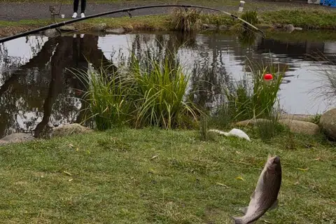 Penulis dan keluarga menangkap ikan trout di Buxton Trout & Salmon Farm.