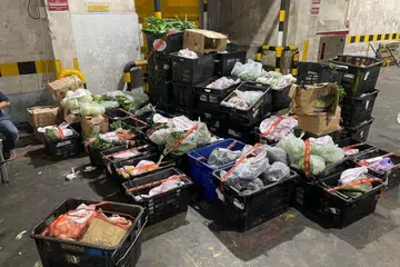 TIDAK ISYTIHAR: Sayur-sayuran tidak diisytiharkan dirampas Agensi Makanan Singapura (SFA) selepas dibawa masuk oleh dua pengimport.secara haram dari Malaysia. 