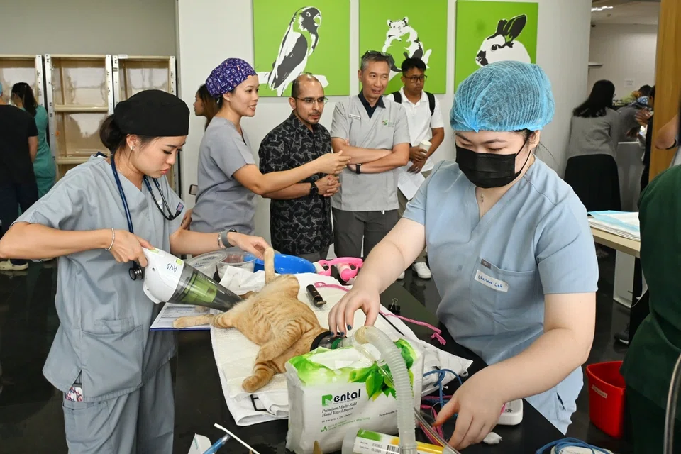 Dr Syed Harun (tiga dari kiri) berkata rangka kerja pengurusan kucing bukan sekadar bertujuan mengawal pemilikan kucing, bahkan mahu meningkatkan kebajikan haiwan serta menggalakkan pemilikan yang bertanggungjawab.