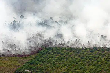 KESAN PEMBAKARAN BELUKAR: Kebakaran berlukar di daerah Tanah Putih, Rokan Hilir, Riau, menyebabkan keadaan berjerebu. - Foto REUTERS