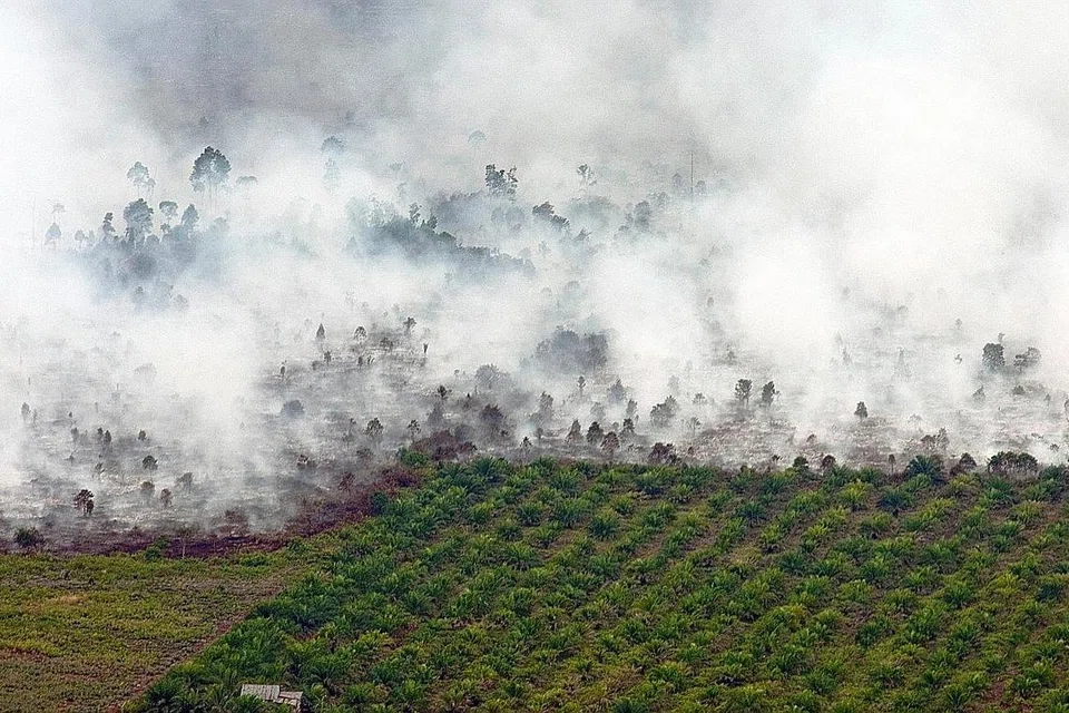 KESAN PEMBAKARAN BELUKAR: Kebakaran berlukar di daerah Tanah Putih, Rokan Hilir, Riau, menyebabkan keadaan berjerebu. - Foto REUTERS