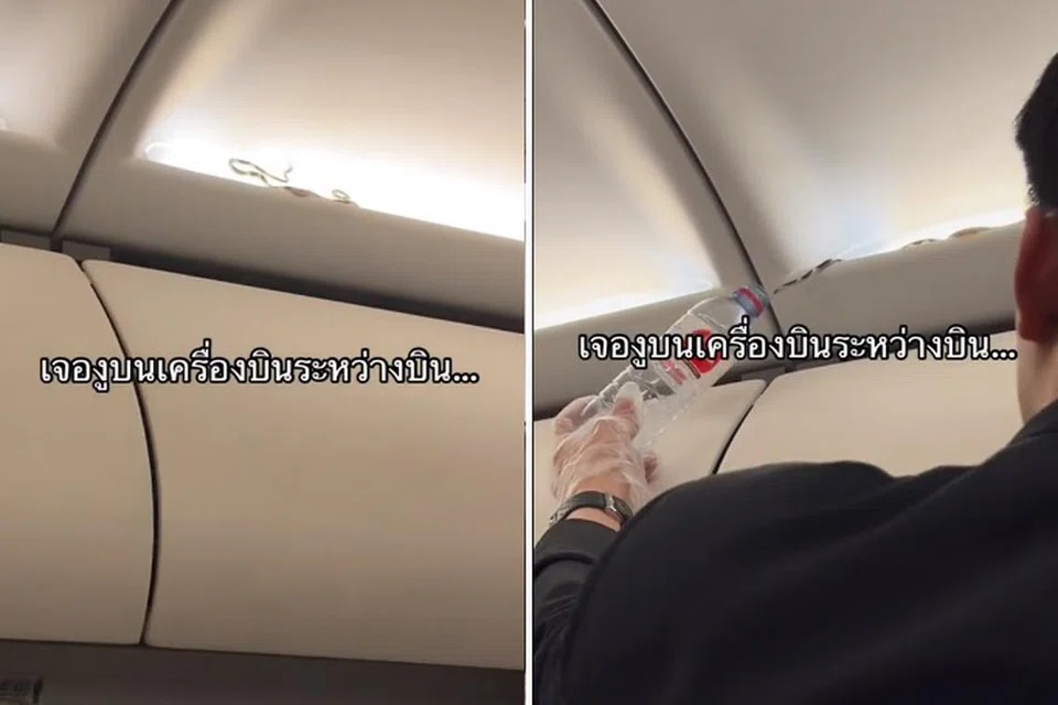 PENUMPANG TIDAK DIUNDANG: Seekor ular kelihatan merayap di ruang menyimpan beg sebuah pesawat AirAsia Thailand.