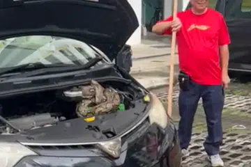 ULAR TIDUR, JANGAN DIJOLOK : Bagaimana ular ini masuk ke ruang enjin kereta masih jadi tanda tanya.