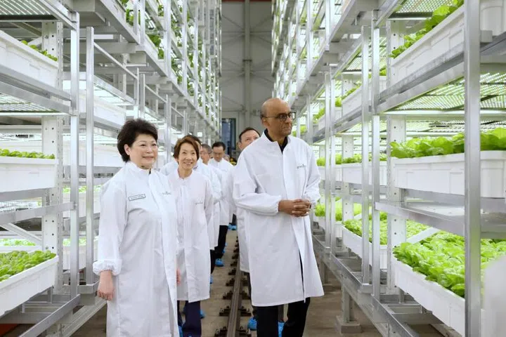 Ladang pertanian, S’pura, agroteknologi Greenphyto, keselamatan makanan