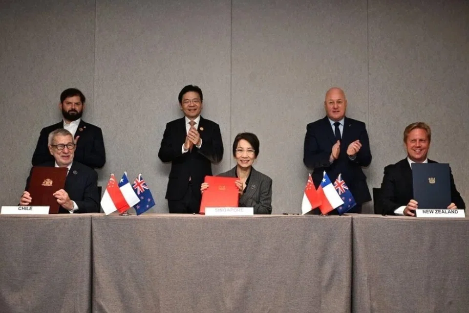 S’pura, Chile, New Zealand, hijau