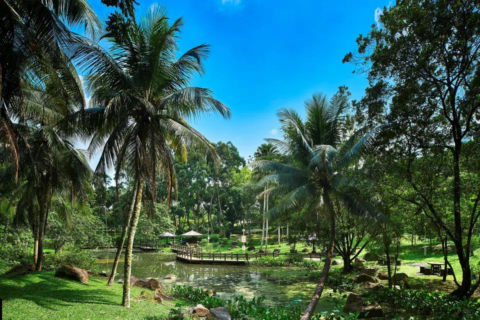 TAMAN BISHAN-ANG MO KIO: Taman Bishan-Ang Mo Kio menjadi tempat yang dikunjungi ramai keluarga untuk beriadah dan melakukan pelbagai kegiatan.
