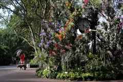 KEBUN BUNGA SINGAPURA: Nparks telah bekerjasama dengan SSO untuk mengadakan konsert maya tahun ini bagi meraikan ulang tahun ke-lima Kebun Bunga Singapura sebagai Tapak Warisan Dunia Unesco. Susunan konsert merangkumi klip pra-rakaman daripada persembahan SSO sebelumnya dan konsert yang dirakam oleh pemuzik SSO dari rumah mereka di tengah-tengah wabak Covid-19. - Foto fail