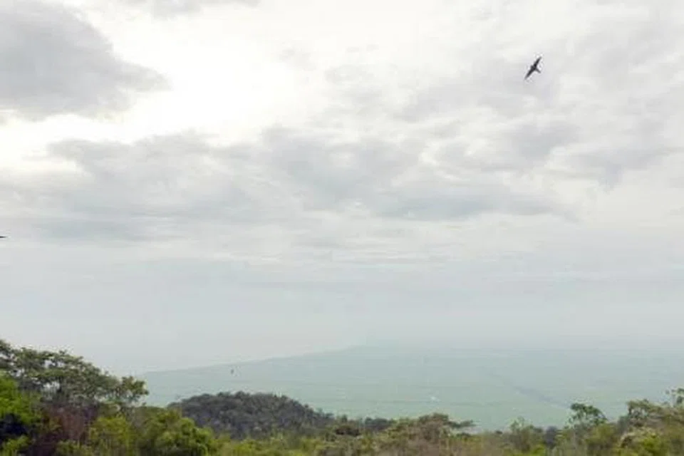 SAUJANA MATA MEMANDANG: Burung layang-layang terbang dengan berlatarbelakangkan jelapang padi dan Selat Melaka. - Foto-foto ABDUL JALIL MARZUKI