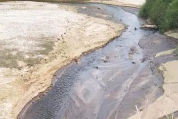 Siasatan mendapati berlaku kegagalan serius pada sistem pengolahan efluen premis terbabit yang menyebabkan efluen mentah mengalir terus ke punca air dan mencemarkan sungai. 