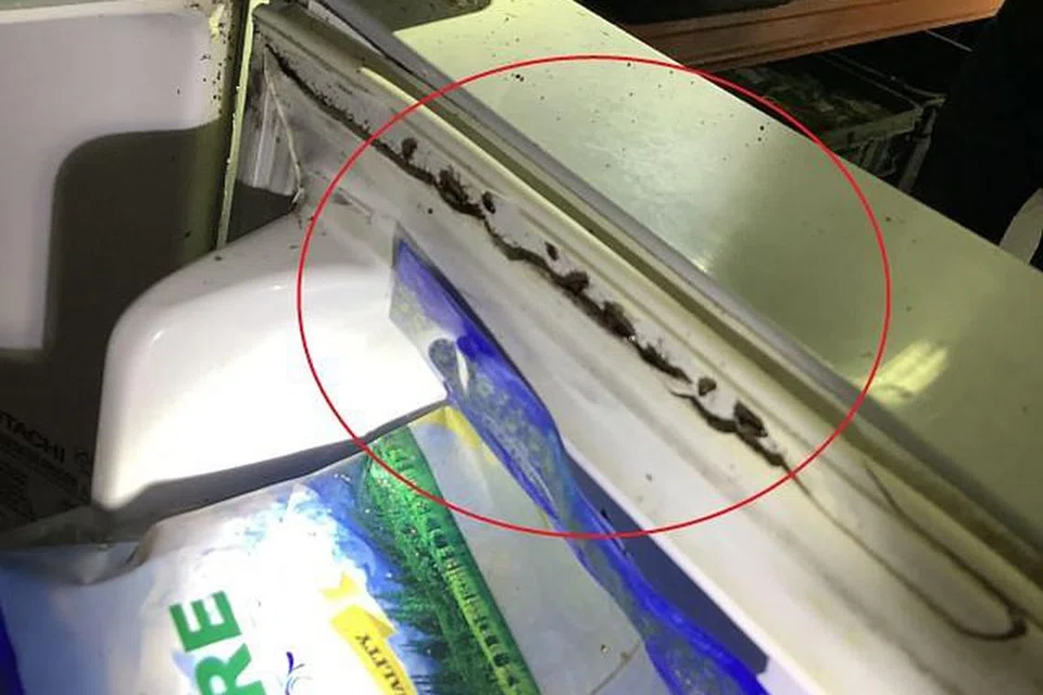 Lipas dan tanda serangan tikus dikesan di kawasan pemprosesan makanan.