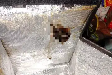 BAU BUSUK: Bangkai tikus didakwa ditemui dalam beg penghantaran makanan dari kedai pencuci mulut, Annabella Patisserie.
