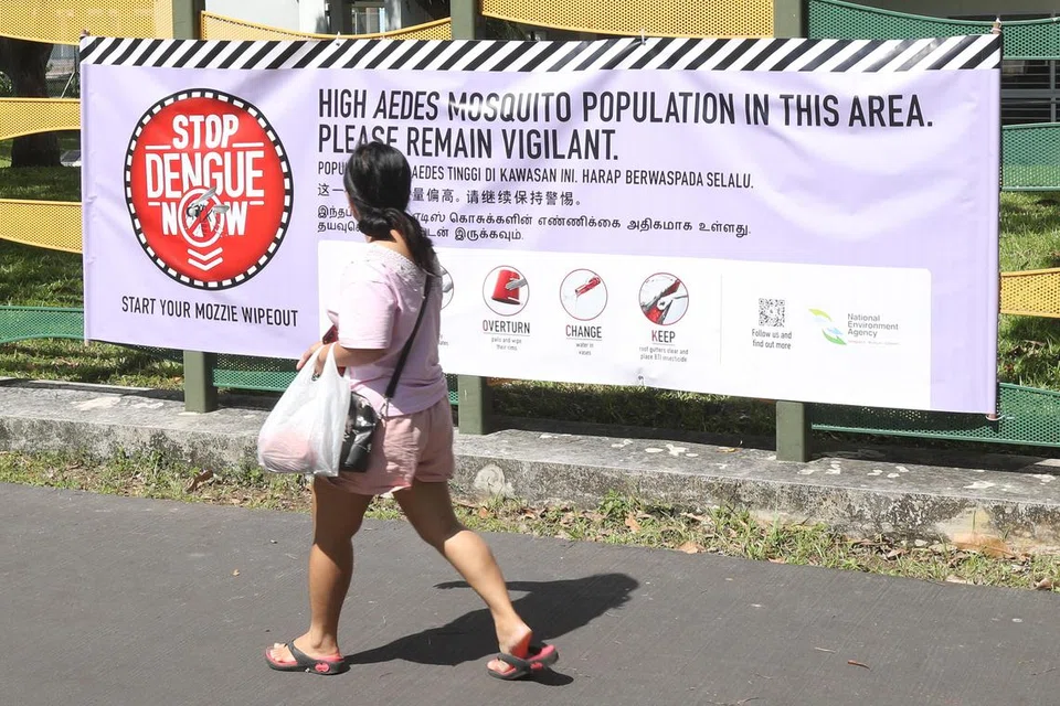 KES DENGGI DIJANGKA NAIK: Jenis virus DenV-1 telah menyumbang kepada penularan denggi yang berterusan di beberapa bahagian Singapura sejak Jun 2023.