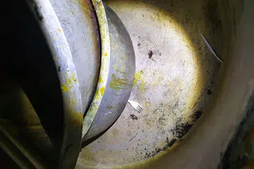Denda $6,000 bagi syarikat penyedia makanan kerana dapur kotor, berlipas