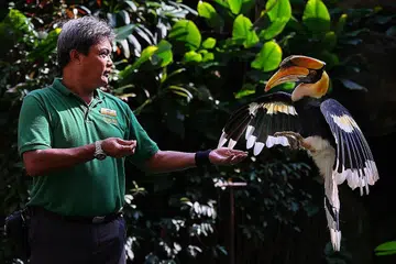 PEMINDAHAN LOKASI: Kira-kira 3,500 burung di Taman Burung Jurong akan berpindah ke Bird Paradise di Mandai Wildlife Reserve. - Foto fail