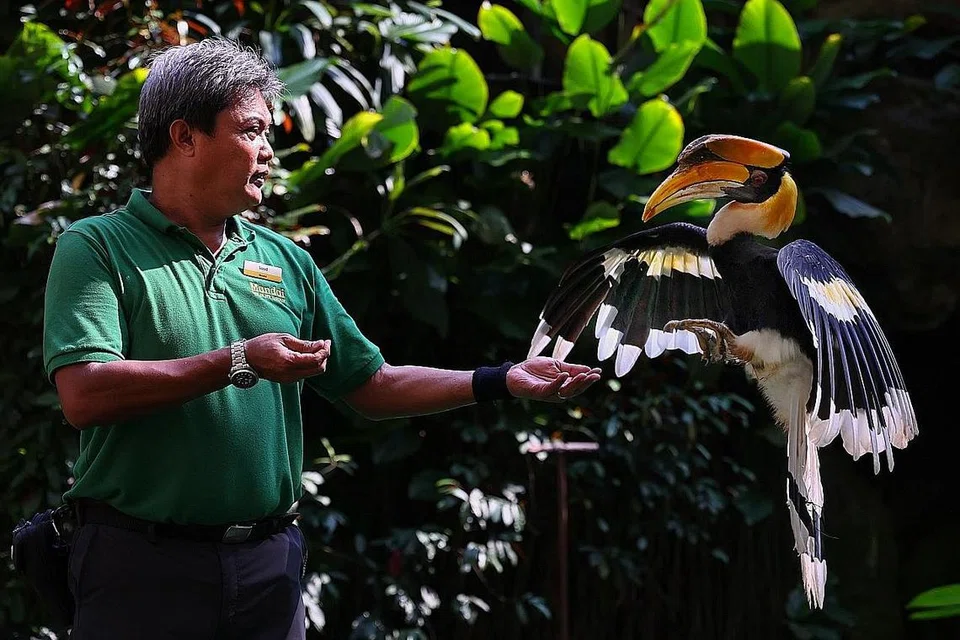 PEMINDAHAN LOKASI: Kira-kira 3,500 burung di Taman Burung Jurong akan berpindah ke Bird Paradise di Mandai Wildlife Reserve. - Foto fail