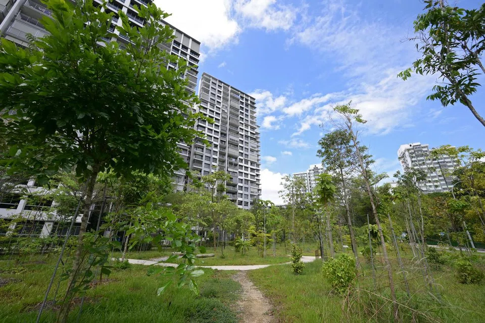 Taman sementara seperti Taman Damai dapat membantu membawa manfaat unsur kehijauan agar lebih dekat kepada penduduk kawasan kejiranan.