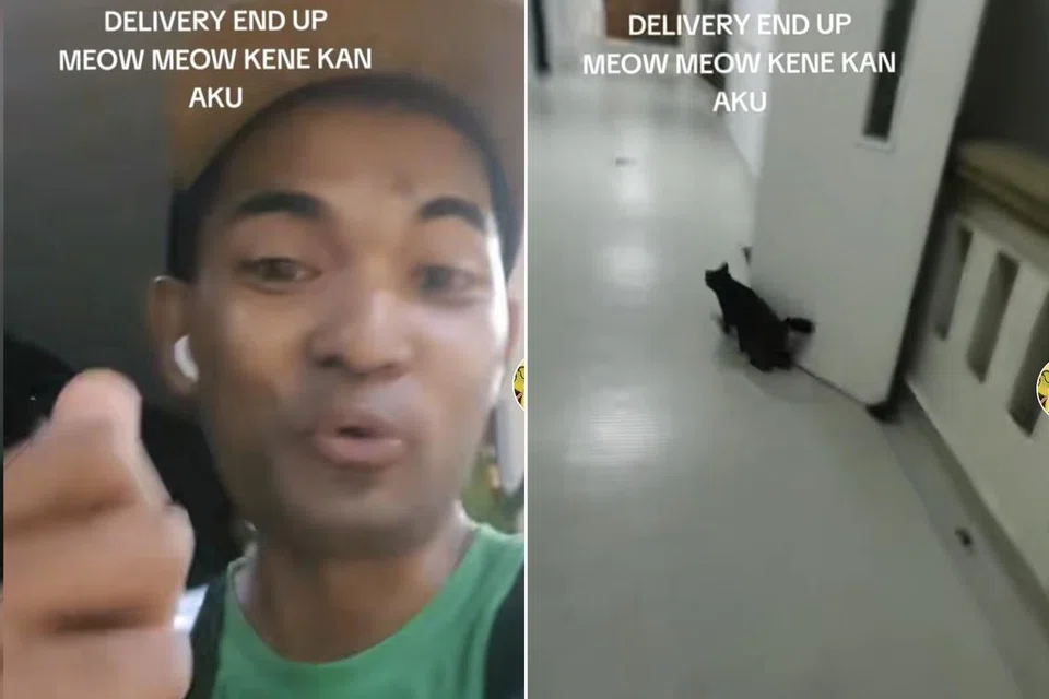 TERKEJUT DEK KUCING: Encik Rahul Firdaus berhasrat merakam video beliau sedang meneroka tempat ‘ulu’ di Pearl’s Hill Terrace namun terkejut apabila menjadi ‘mangsa’ kepada seekor kucing yang tiba-tiba muncul dari tepi.
