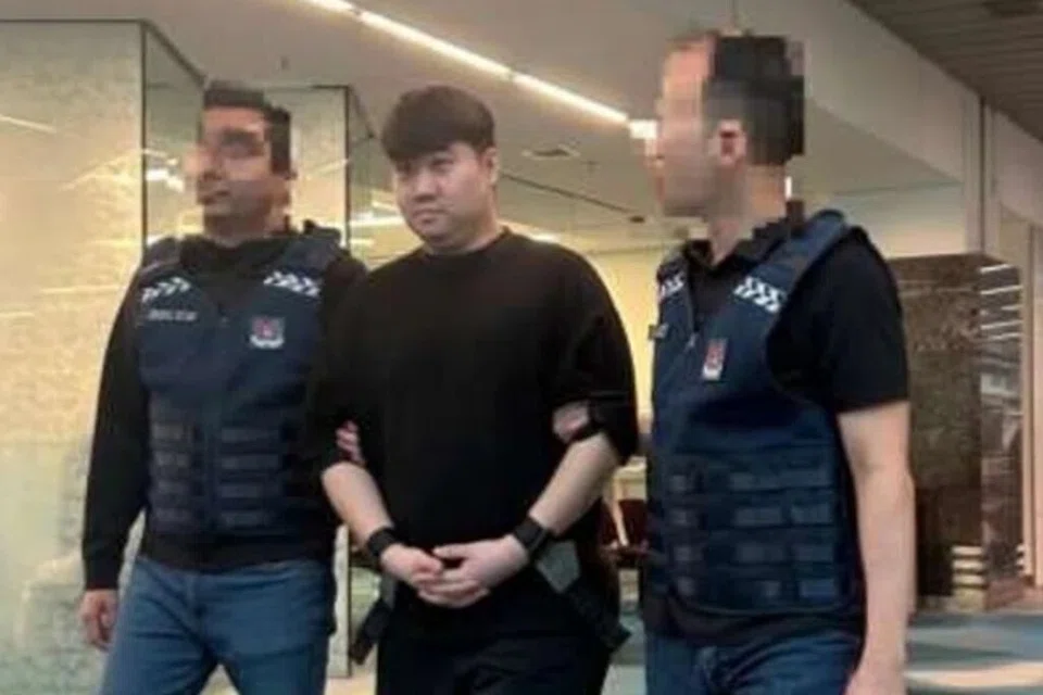 wayne soh you chen, sindiket penipuan, warga singapura, kemboja 