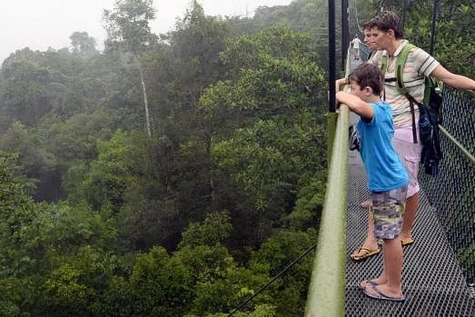 KEHIJAUAN DARI PUNCAK: Sebuah keluarga asal Perancis dirakam sedang menikmati pemandangan dan kehijauan nan indah di Treetop Walk, MacRitchie.